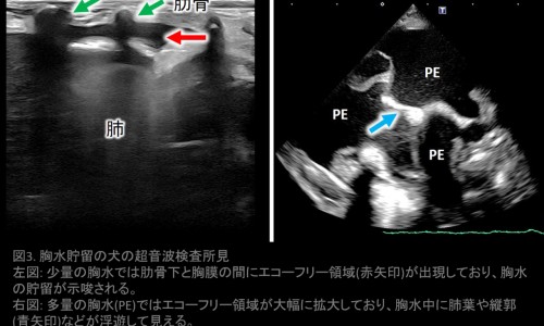 宫颈息肉手术真实感受-【宫颈息肉手术有几种方法】宫颈息肉手术治疗效果怎么样啊 - 宫颈息肉手术治疗效果怎么样网