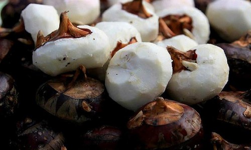 宫颈息肉手术真实感受-【宫颈息肉手术有几种方法】宫颈息肉手术治疗效果怎么样啊 - 宫颈息肉手术治疗效果怎么样网